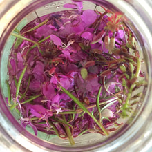Load image into Gallery viewer, Fireweed Mini Bitters
