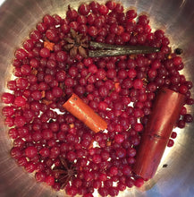 Load image into Gallery viewer, Solstice Mini Bitters