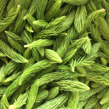Load image into Gallery viewer, Spruce Tip Bitters
