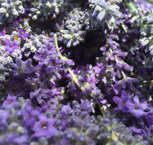 Load image into Gallery viewer, Lovely Lavender Bitters