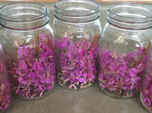 Load image into Gallery viewer, Fireweed Bitters