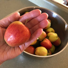 Load image into Gallery viewer, tiny, Yukon-grown apples, these apples are from Free Pour Jenny's own tree, northern life, northern gardening